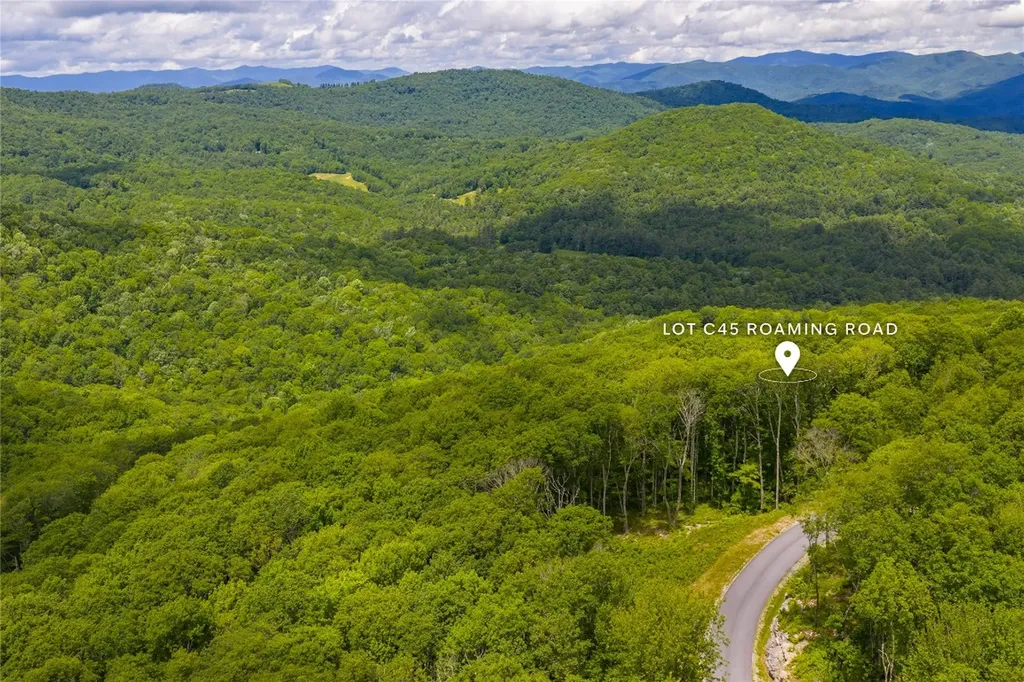 C45 Roaming Road Glenville NC 28736