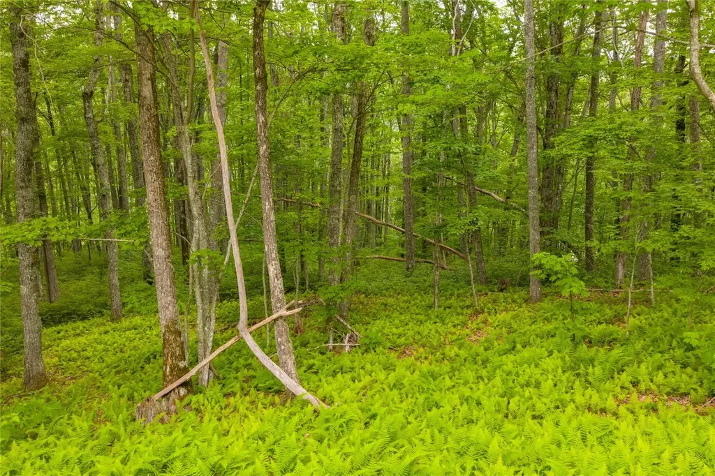 C45 Roaming Road Glenville NC 28736