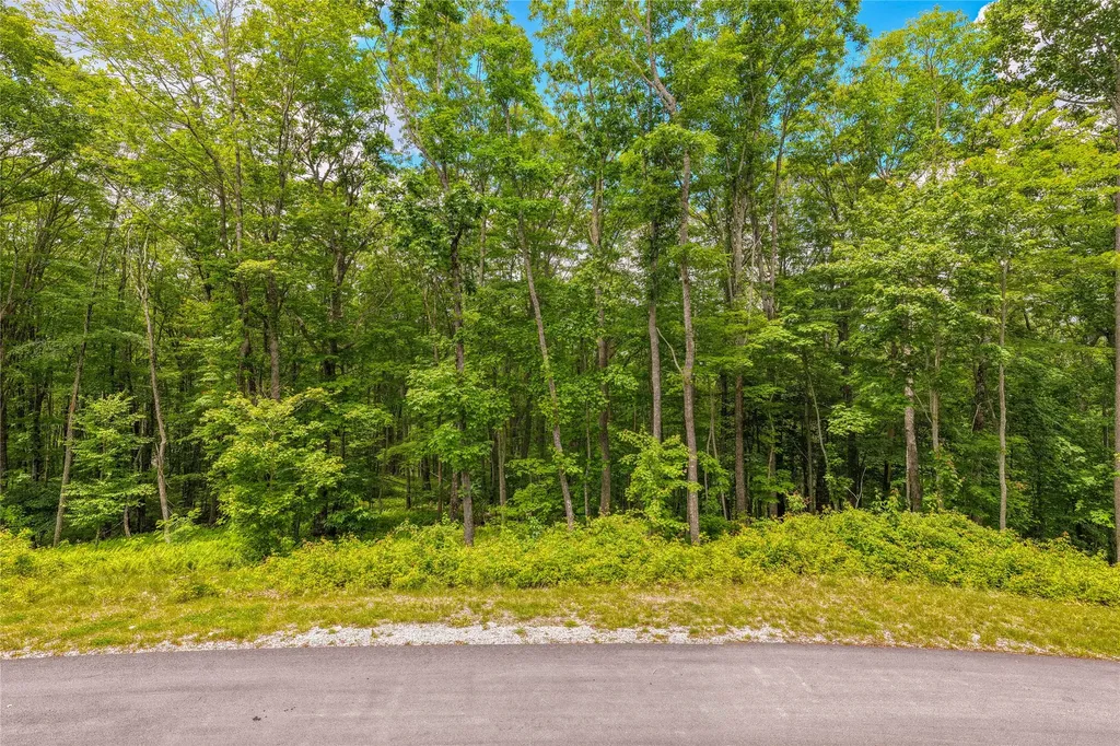 C45 Roaming Road Glenville NC 28736