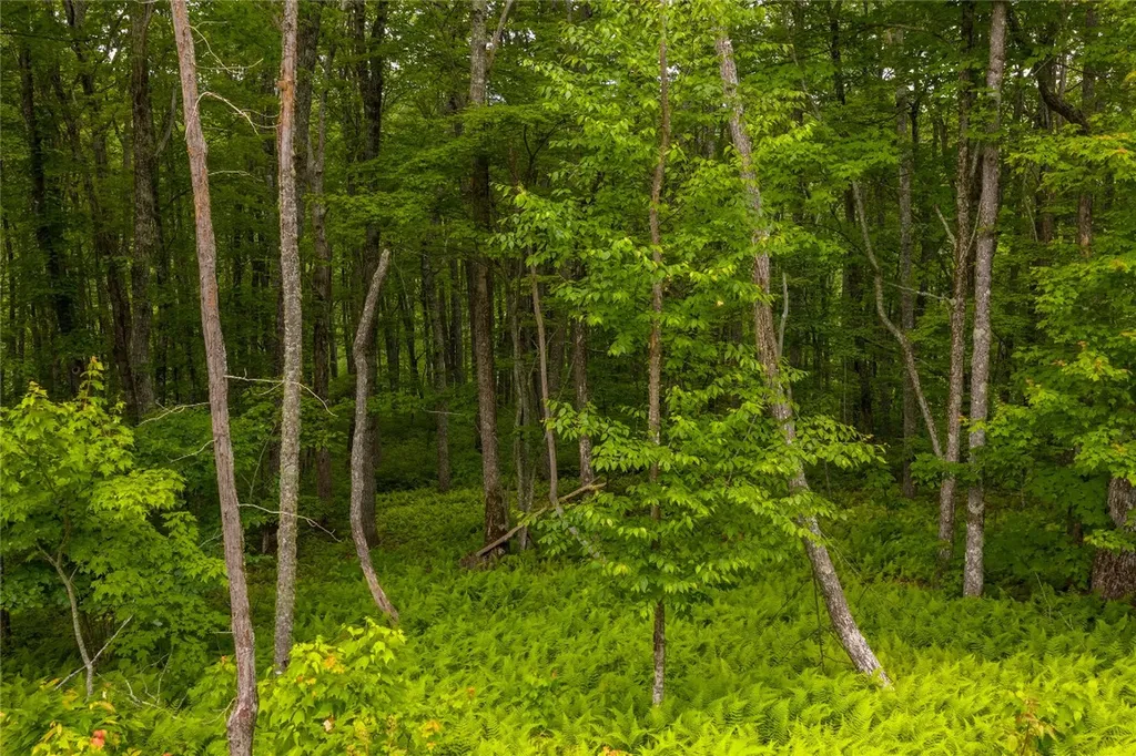 C45 Roaming Road Glenville NC 28736