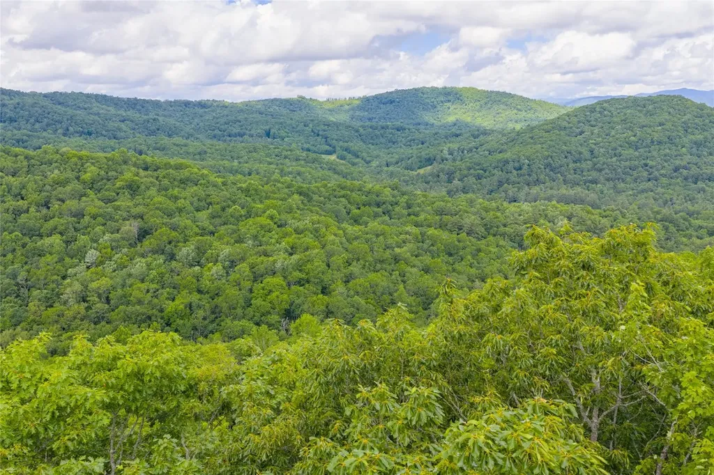 C45 Roaming Road Glenville NC 28736