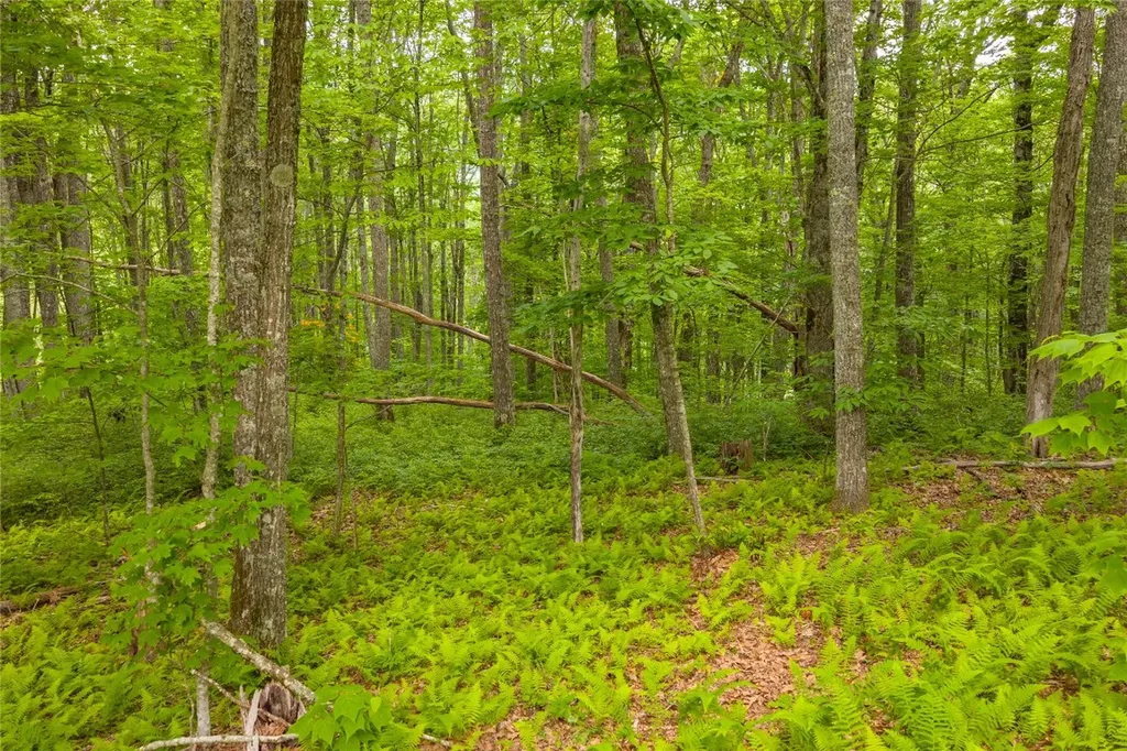 C45 Roaming Road Glenville NC 28736