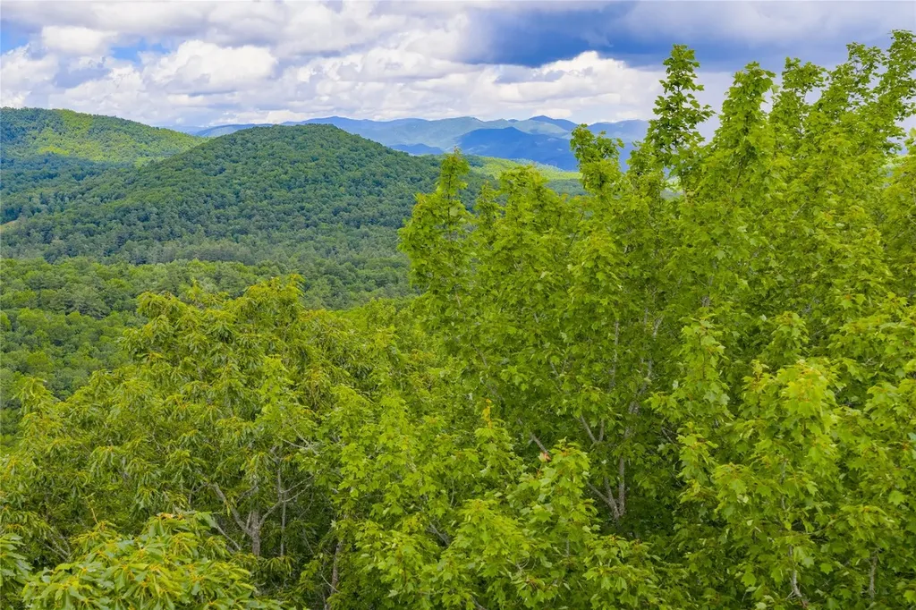 C45 Roaming Road Glenville NC 28736