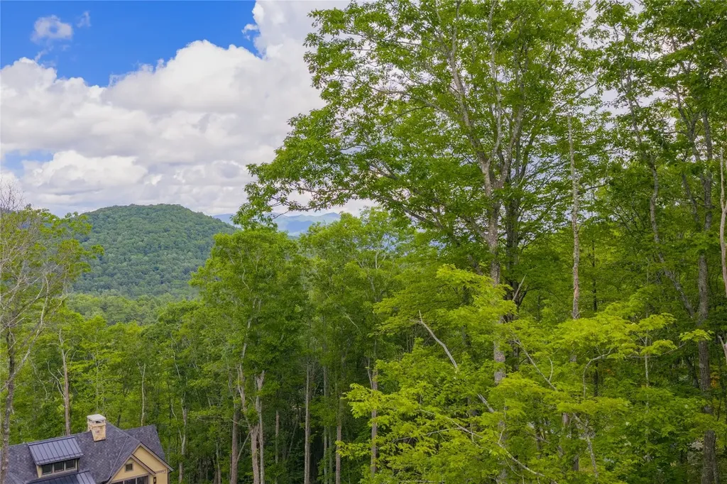 C45 Roaming Road Glenville NC 28736