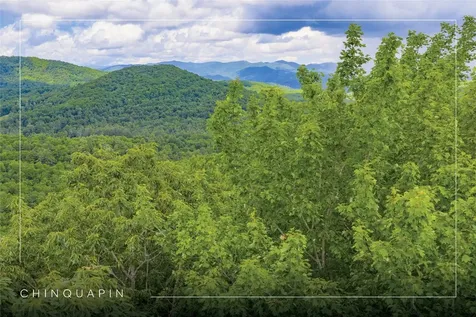 C45 Roaming Road Glenville NC 28736