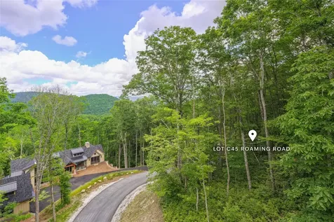 C45 Roaming Road Glenville NC 28736