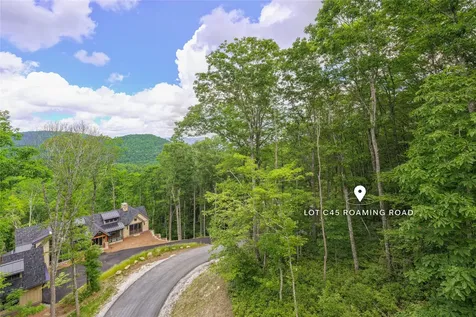 C45 Roaming Road Glenville NC 28736