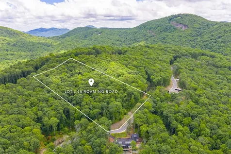 C45 Roaming Road Glenville NC 28736