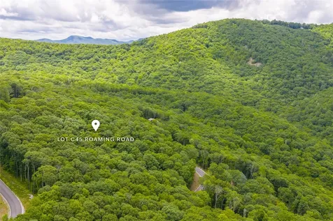 C45 Roaming Road Glenville NC 28736