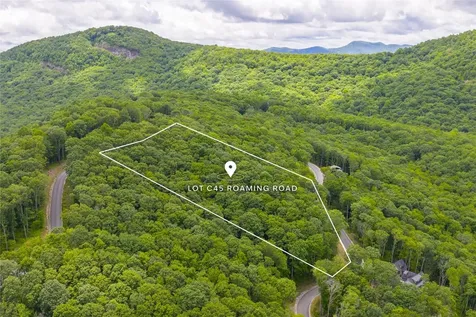 C45 Roaming Road Glenville NC 28736