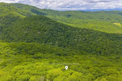 C45 Roaming Road Glenville NC 28736