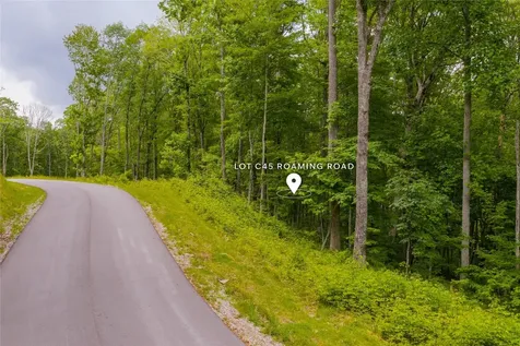 C45 Roaming Road Glenville NC 28736