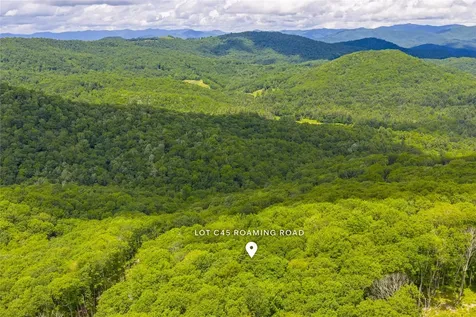 C45 Roaming Road Glenville NC 28736