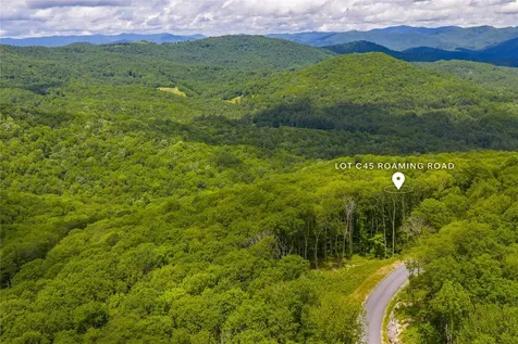 C45 Roaming Road Glenville NC 28736