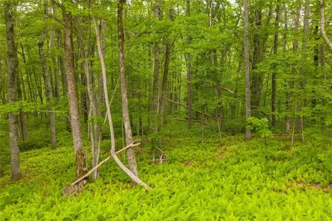 C45 Roaming Road Glenville NC 28736