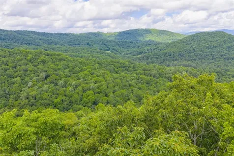 C45 Roaming Road Glenville NC 28736