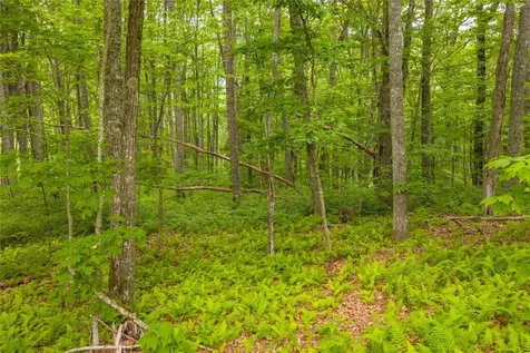 C45 Roaming Road Glenville NC 28736