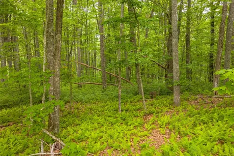 C45 Roaming Road Glenville NC 28736