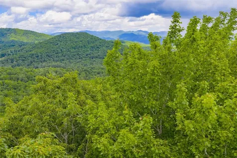 C45 Roaming Road Glenville NC 28736