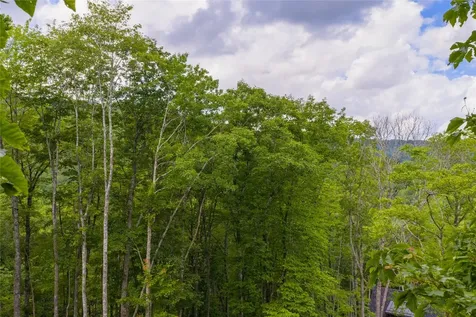 C45 Roaming Road Glenville NC 28736