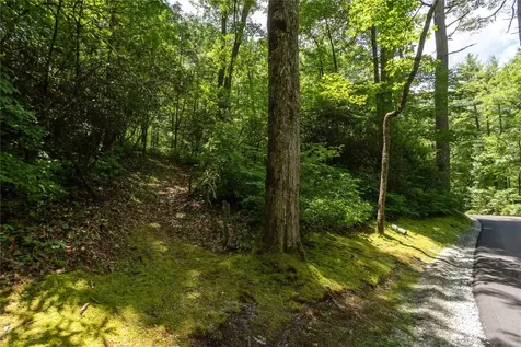 Lot 2 Gorge Trail Road Cashiers NC 28717