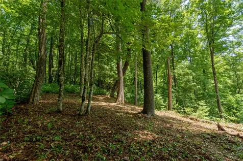 Lot 2 Gorge Trail Road Cashiers NC 28717