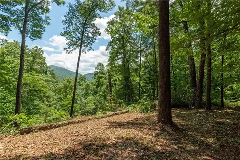 Lot 2 Gorge Trail Road Cashiers NC 28717