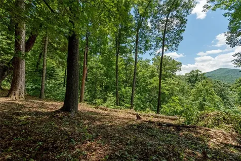 Lot 2 Gorge Trail Road Cashiers NC 28717