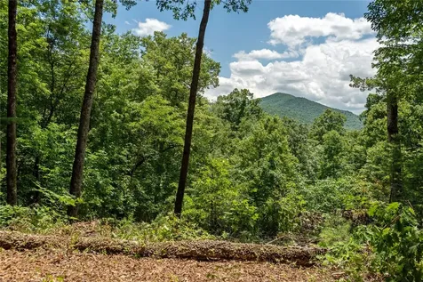 Lot 2 Gorge Trail Road Cashiers NC 28717