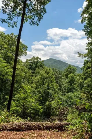 Lot 2 Gorge Trail Road Cashiers NC 28717