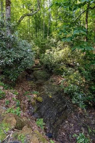 214 Sunset Court Sapphire NC 28774