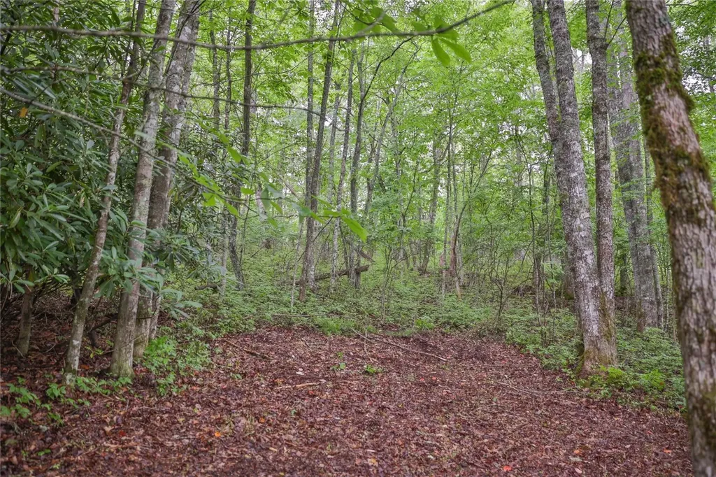 Lot E8 New Settlers Way Glenville NC 28736