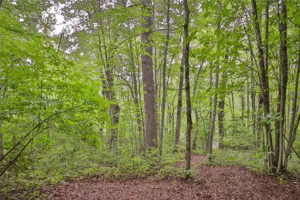 Lot E8 New Settlers Way Glenville NC 28736