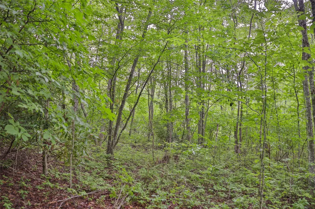 Lot E8 New Settlers Way Glenville NC 28736