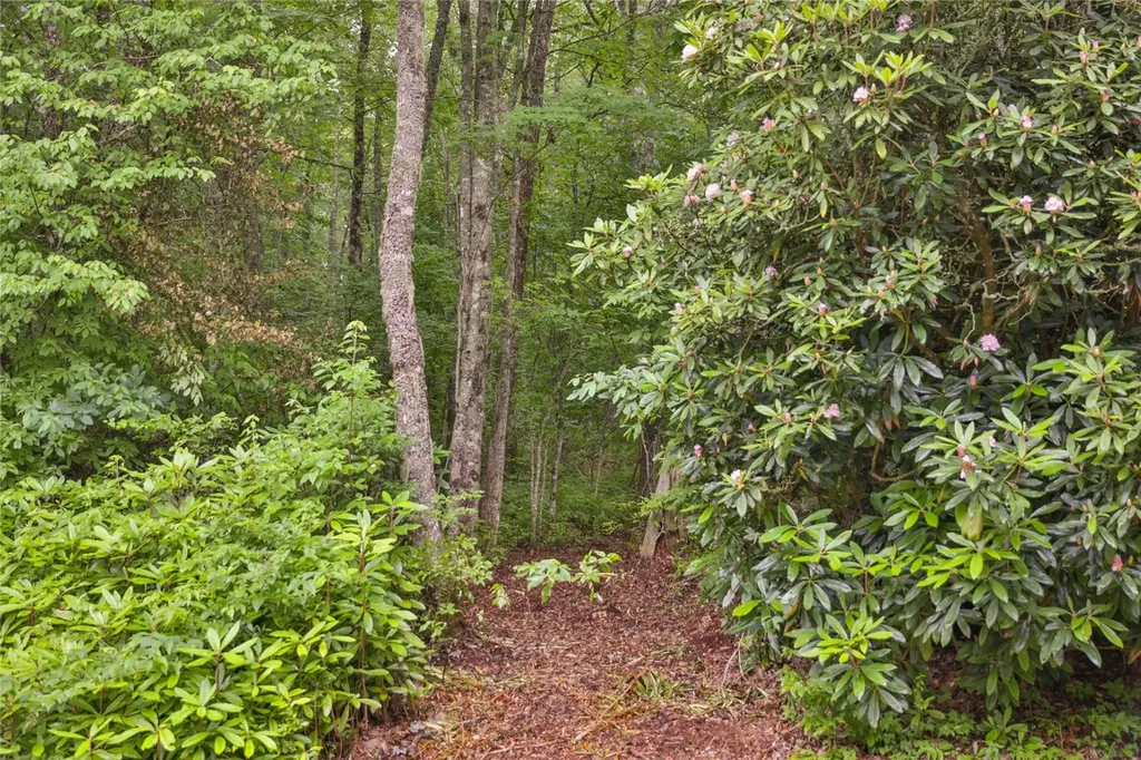 Lot E8 New Settlers Way Glenville NC 28736