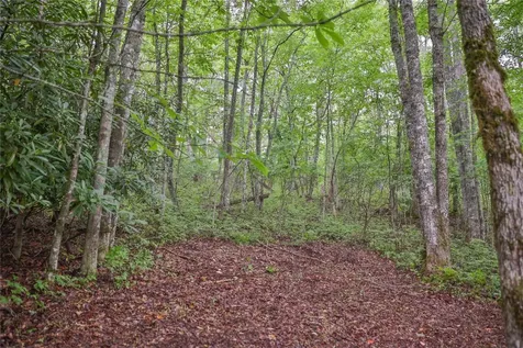 Lot E8 New Settlers Way Glenville NC 28736