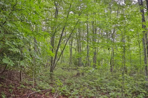 Lot E8 New Settlers Way Glenville NC 28736