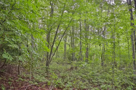 Lot E8 New Settlers Way Glenville NC 28736