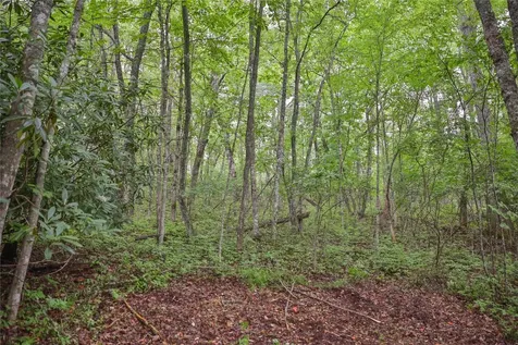 Lot E8 New Settlers Way Glenville NC 28736