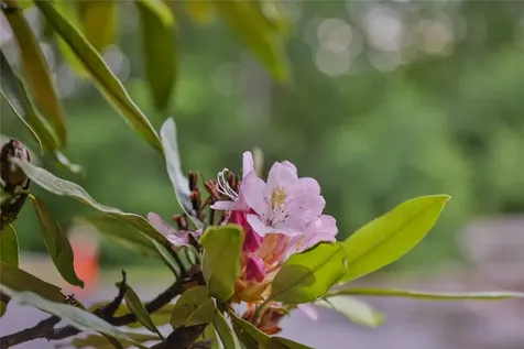 Lot E8 New Settlers Way Glenville NC 28736