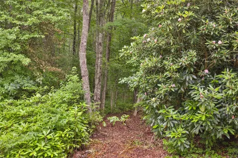 Lot E8 New Settlers Way Glenville NC 28736