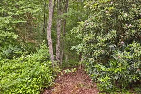 Lot E8 New Settlers Way Glenville NC 28736