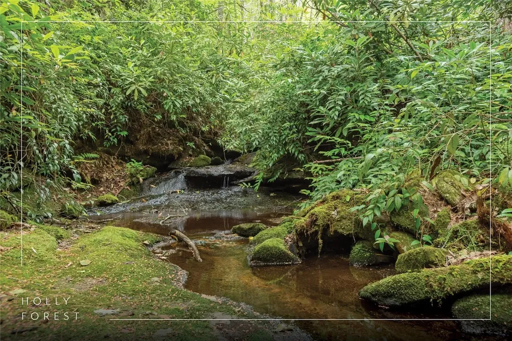 2133 Christy Trail Sapphire NC 28774