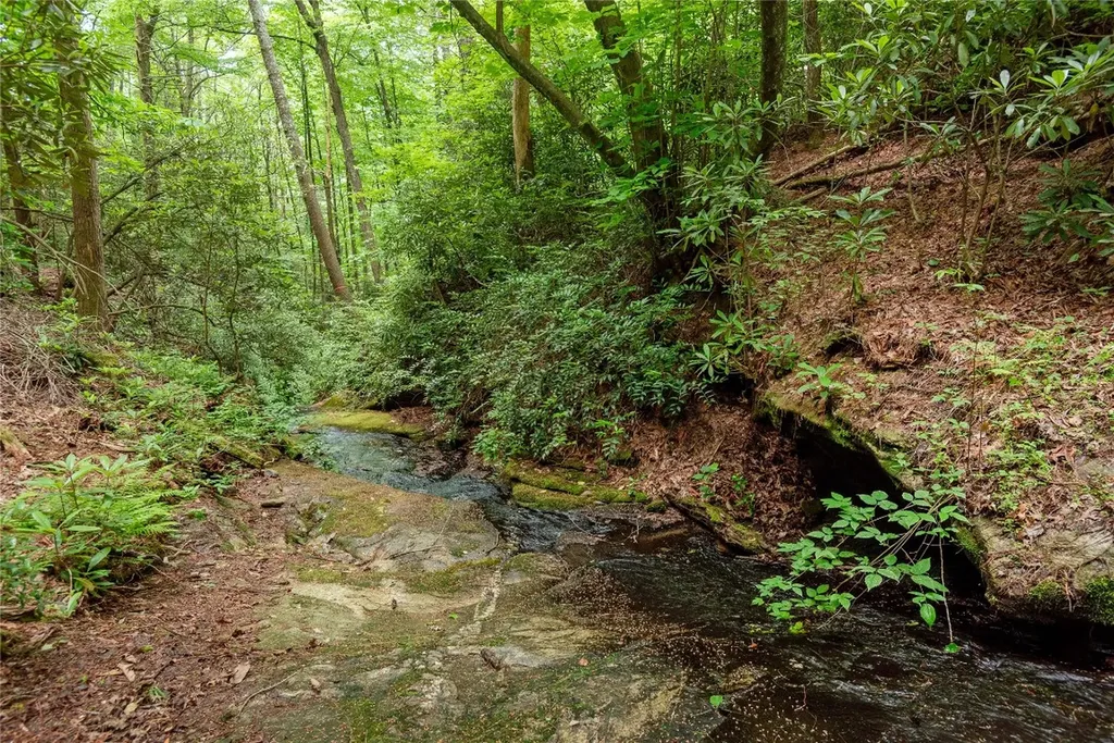 2133 Christy Trail Sapphire NC 28774