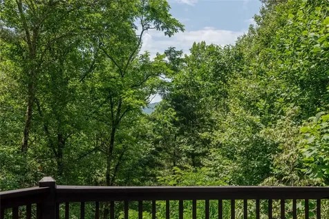 2133 Christy Trail Sapphire NC 28774