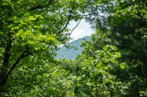 2133 Christy Trail Sapphire NC 28774