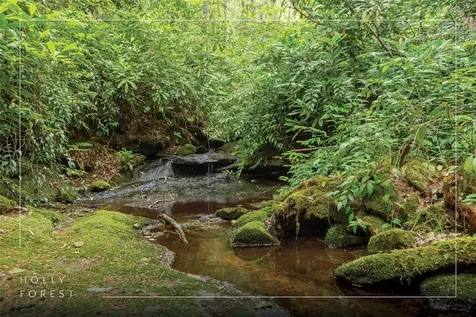 2133 Christy Trail Sapphire NC 28774