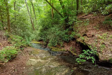 2133 Christy Trail Sapphire NC 28774