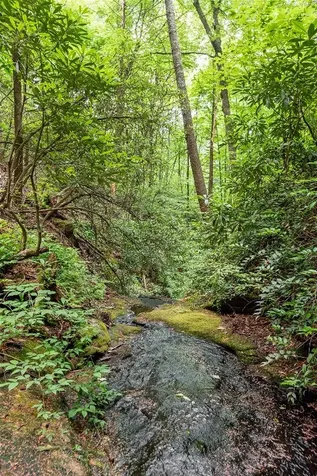 2133 Christy Trail Sapphire NC 28774