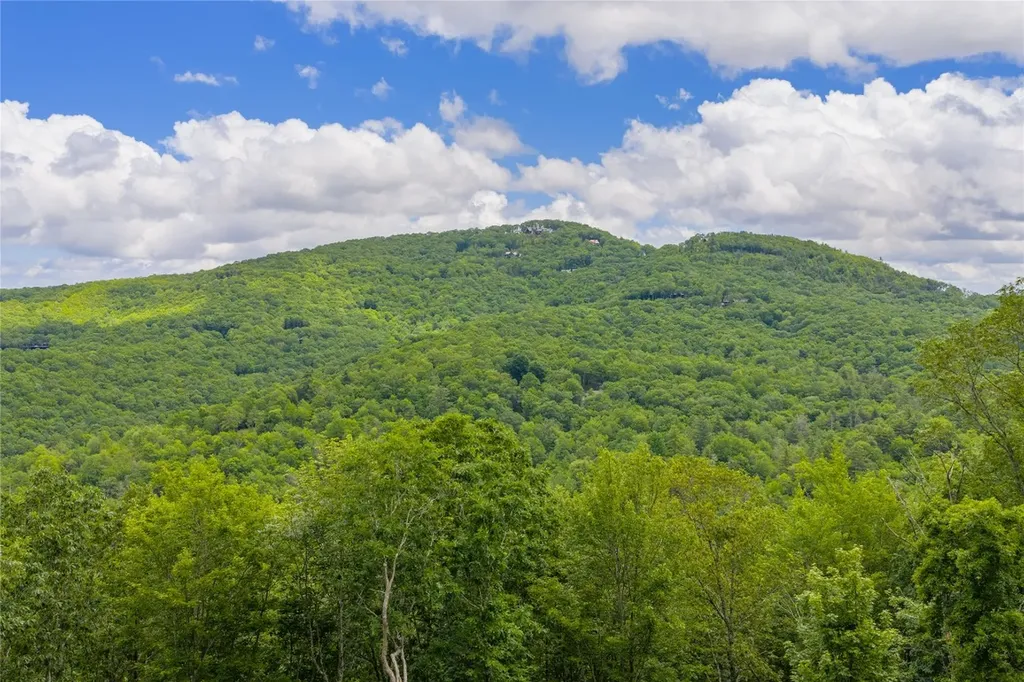 C44 Roaming Road Glenville NC 28736